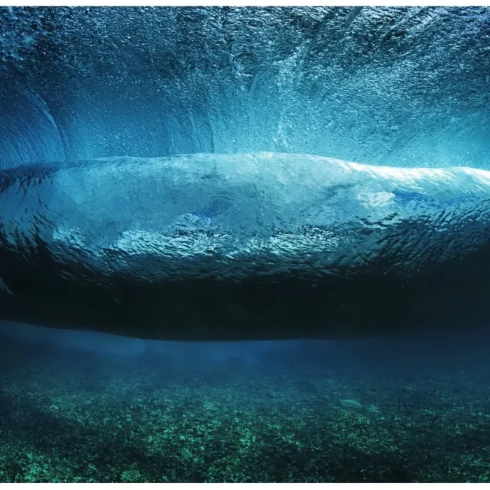 Framed Print : World Ocean Day