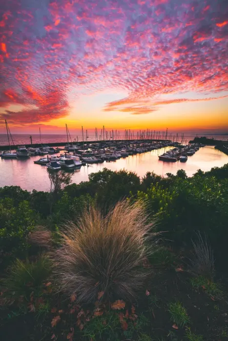 Framed Print : Yacht Marina