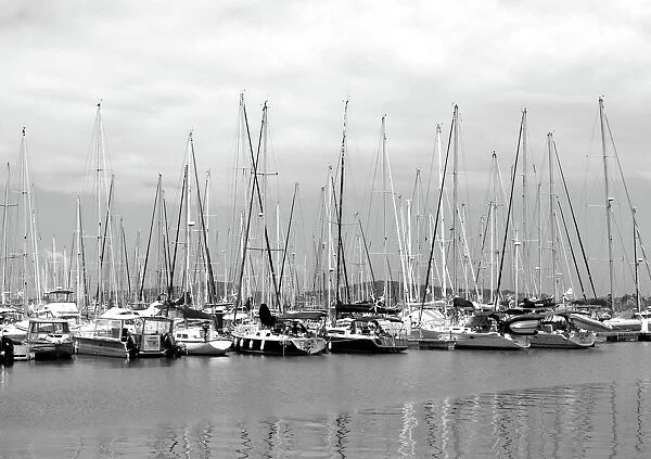 Yachts Galore Black & White, Cairns