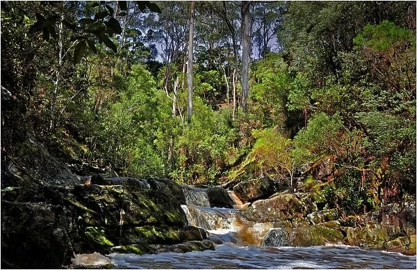 Yarra creek, King Island, Bass Strait, Tasmania, Australia