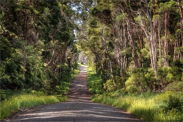 Yarra Creek road, in rural King Island, Bass Strait, Tasmania, Australia