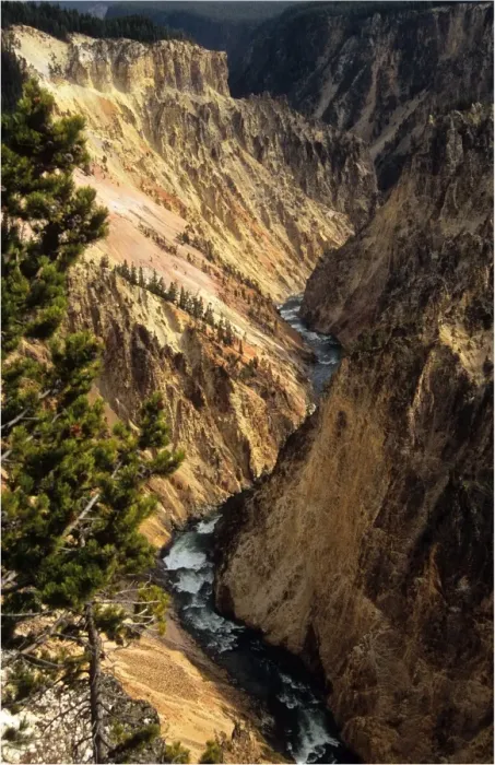 Framed Print : Yellowstone National Park, Wyoming, western United States of America
