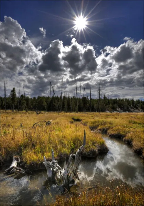 Framed Print : Yellowstone National Park, Wyoming, United States