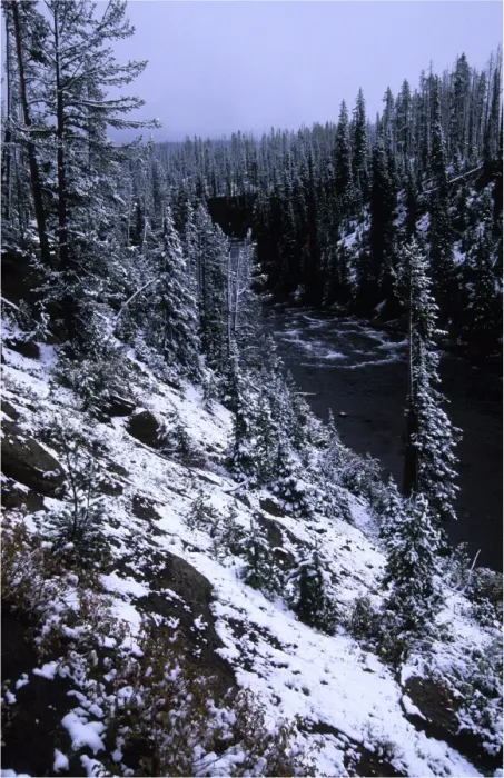 Framed Print : Yellowstone National Park, Wyoming, United States