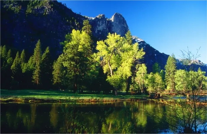 Framed Print : Yosemite National Park, California, western United States of America