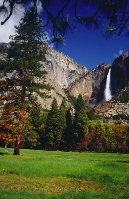 Framed Print : Yosemite National Park, California, western United States of America Framed Print : Yosemite National Park, California, western United States of America