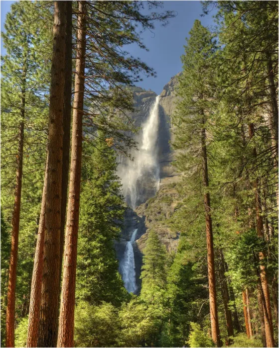 Framed Print : Yosemite National Park, California, western United States of America Framed Print : Yosemite National Park, California, western United States of America