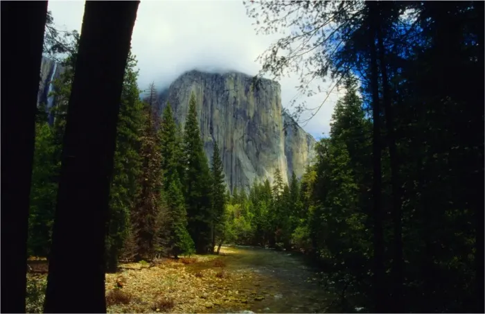 Framed Print : Yosemite National Park, California, western United States of America Framed Print : Yosemite National Park, California, western United States of America