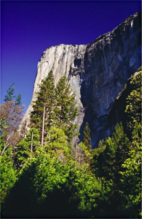Framed Print : Yosemite National Park, California, western United States of America Framed Print : Yosemite National Park, California, western United States of America