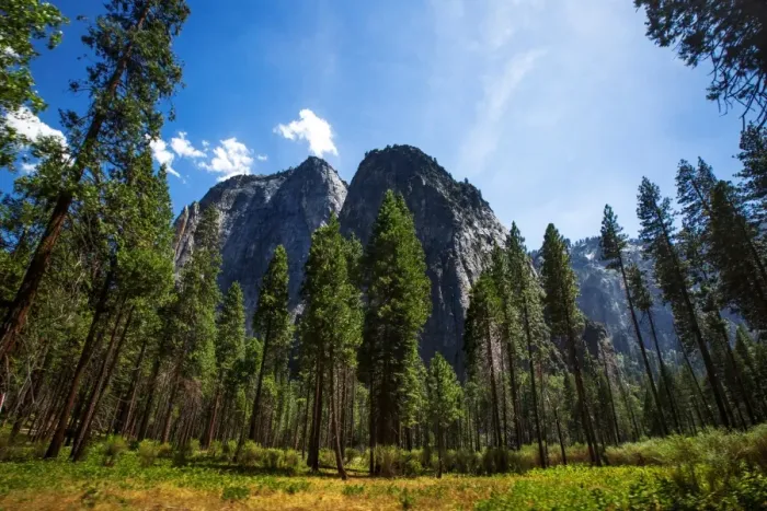 Framed Print : Yosemite National Park, California, United States of America Framed Print : Yosemite National Park, California, United States of America