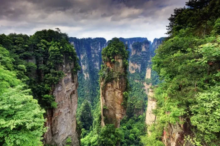 Framed Print : Zhangjiajie forest Framed Print : Zhangjiajie forest