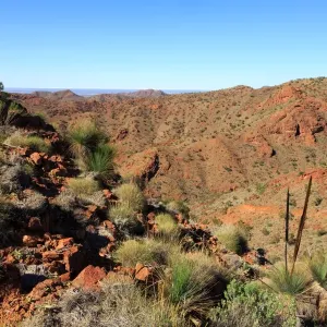 4x4, Arkaroola, Australia, Australian, blue, dry, Flinders Ranges, four wheel drive 4x4, Arkaroola, Australia, Australian, blue, dry, Flinders Ranges, four wheel drive