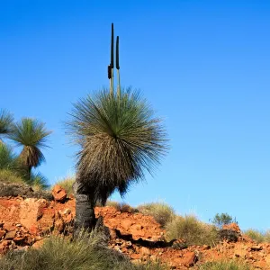 4x4, Arkaroola, Australia, Australian, blue, dry, Flinders Ranges, four wheel drive 4x4, Arkaroola, Australia, Australian, blue, dry, Flinders Ranges, four wheel drive