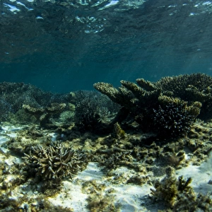 Abrohlos island reefs