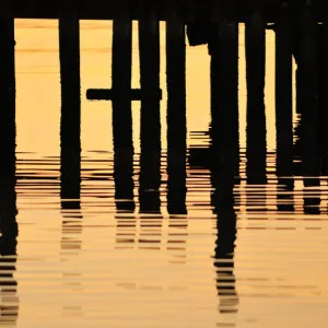 Abstract Jetty Woodwork