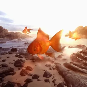 Oversized Goldfish Print