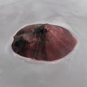 Aerial image showing a cone shaped rock formation in the middle of Island Lagoon salt lake, South Australia, Australia