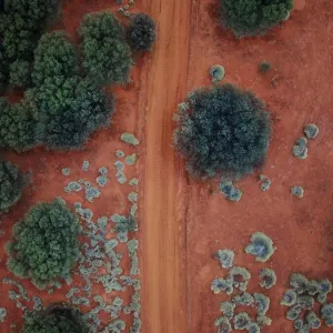 Une vue aérienne des routes rouges du centre en Australie dans le bush.