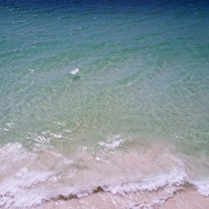Aerial view of an empty beach, Hyams Beach, Jervis Bay, Australia