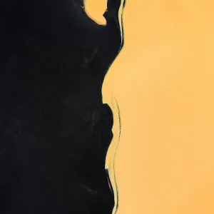 Icelandic Black Beach Print