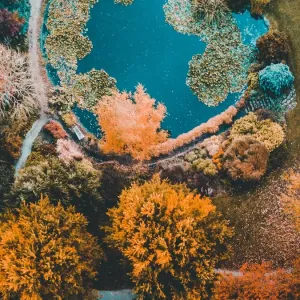 Aerial view of colourful trees with a lake with a heart shape Aerial view of colourful trees with a lake with a heart shape