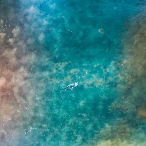 Aerial view of a female surfer on the ocean Aerial view of a female surfer on the ocean