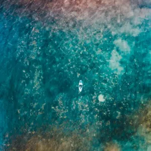 Aerial view of a female surfer on the ocean looking at the camera Aerial view of a female surfer on the ocean looking at the camera