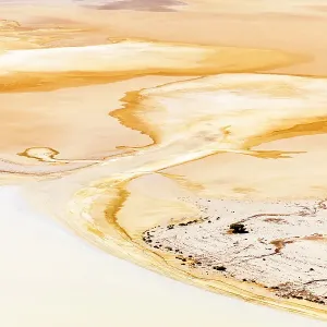 Images Dated 2021 February: 17 Feb 2021