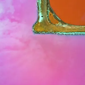 Aerial view over the stunning colourful lake at Hutt lagoon. Port Gregory, Western Australia