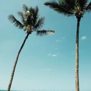 Airlie Beach Bliss