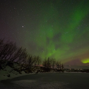 Akureyri Northern Lights