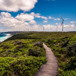 Albany Wind Farm