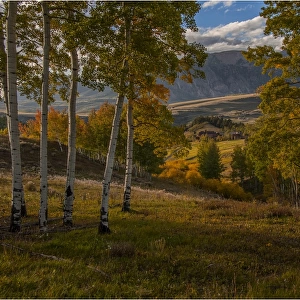 Alpine meadow in autumn near Telluride, Colorado, south west United States of America