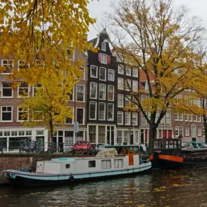 Amsterdam fall view of canal