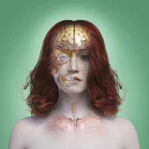 android, brain, close up, color image, concept, copy space, cyborg, digital composite android, brain, close up, color image, concept, copy space, cyborg, digital composite