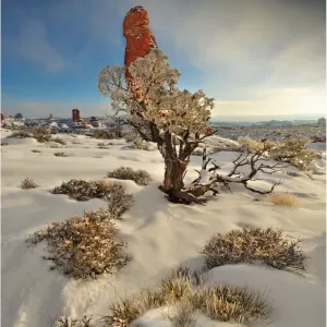Images Dated 2010 January: 1 Jan 2010