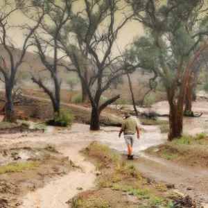 Arkaba Creek Flinders Ranges SA