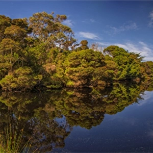 Attrills lagoon with reflections, King Island, Bass Strait, Tasmania