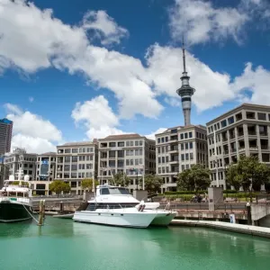 Auckland from the bay