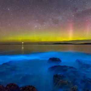 Aurora Australis Print over Bioluminescent Water