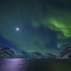 Aurora-Borealis in the skies at Mefjordbotn, Isle of Senja, northern Norway