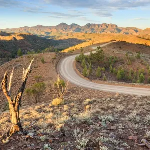 Australia, Australian, Bunyeroo Valley, dry, Flinders Ranges, mountains, outback Australia, Australian, Bunyeroo Valley, dry, Flinders Ranges, mountains, outback