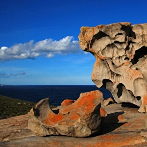 Australia Kangaroo Island