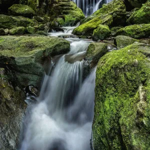 Australia, New South Wales, Katoomba, Leura Cascade in forest