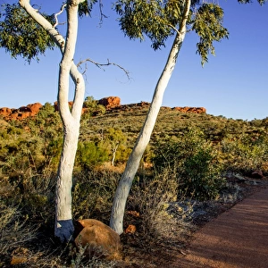 Australia, Northern Territory, outback, remote, Australian, sand, sandstone, red