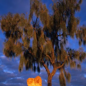 Australia, Northern Territory, Simpson Desert, Sandstone pillar