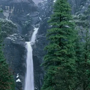 Australia, Queensland, Atherton Templeland, Millstream Falls