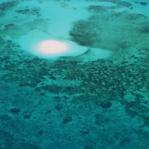 Australia, Queensland, Great Barrier Reef, aerial view
