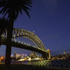 Australia, Sydney, palm trees in front of Harbour Bridge at night Australia, Sydney, palm trees in front of Harbour Bridge at night