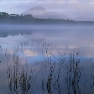 Australia, Tasmania, Bathurst Harbour and Mt. Rugby at dawn Australia, Tasmania, Bathurst Harbour and Mt. Rugby at dawn